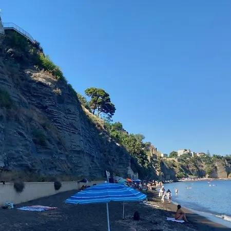Casa Bouganville 普罗奇达